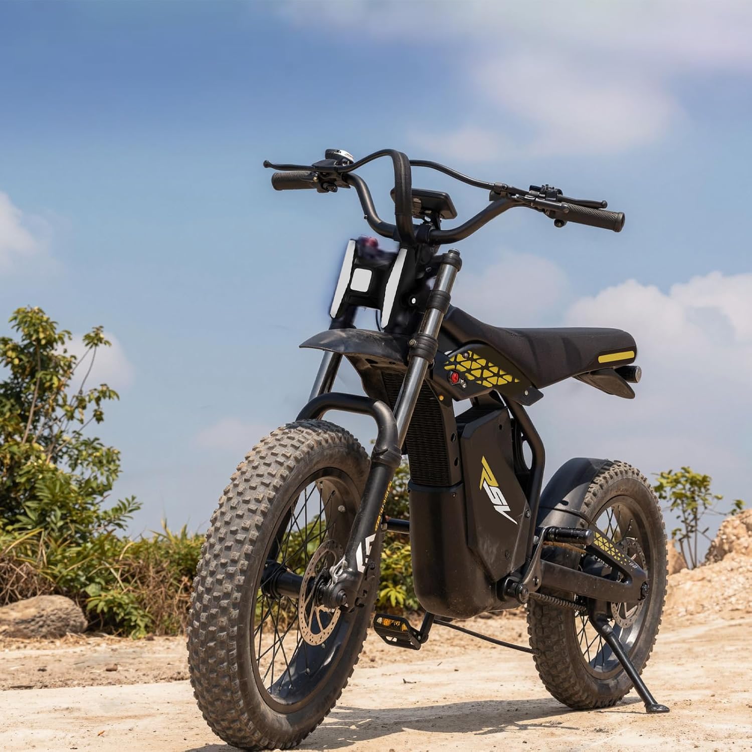Electric Bikes