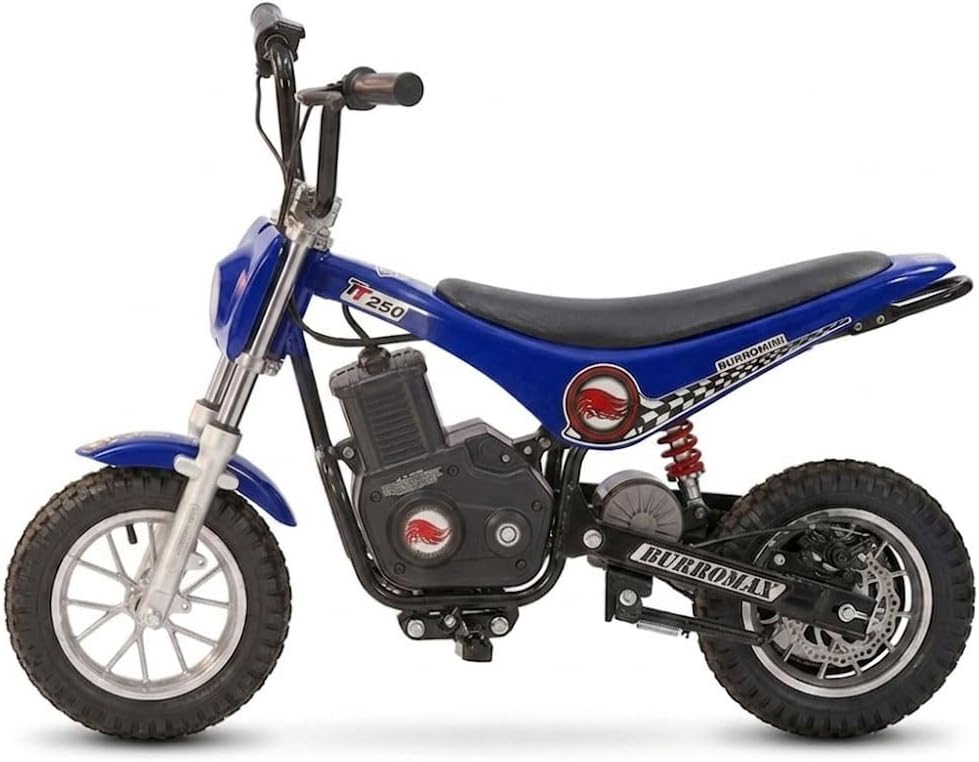 Kids Electric Dirt Bike – 250W Off-Road Mini Bike with 2-Speed Modes, Up to 14 MPH & 150 lb Rider Capacity