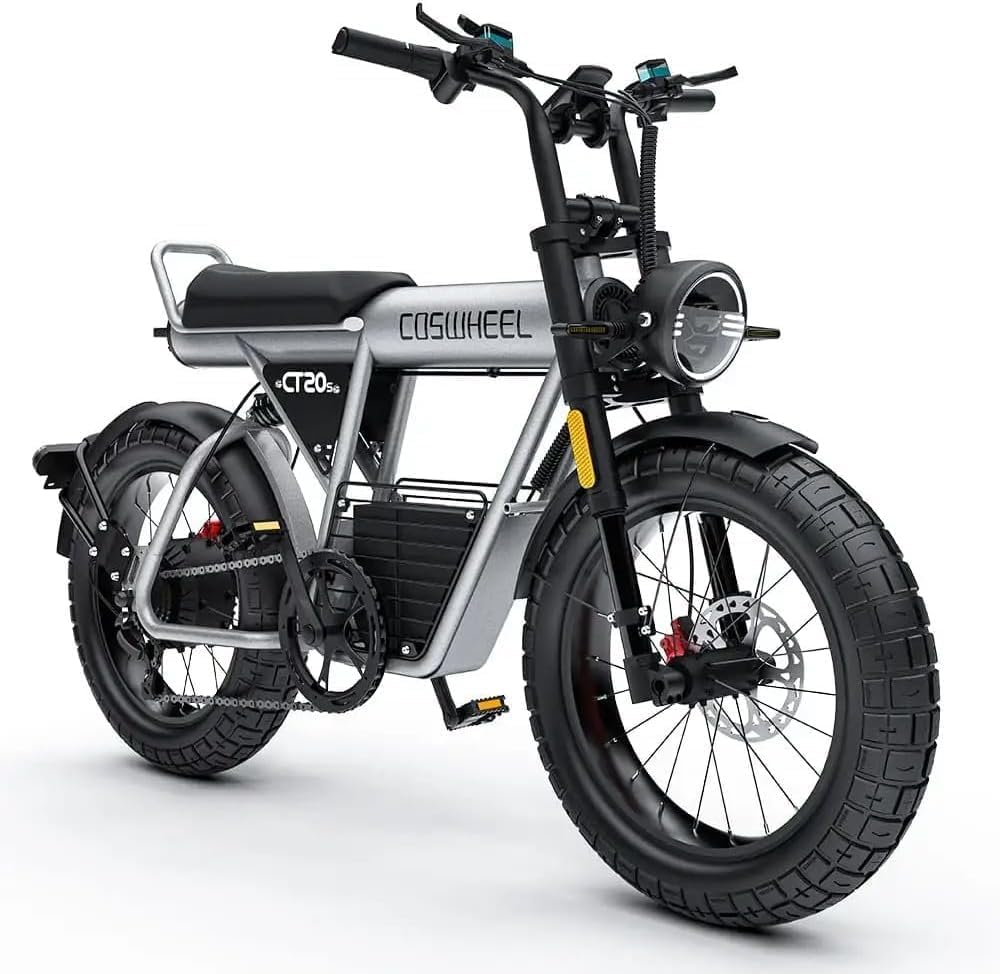 Electric Fat Tire Bike for Adults, Up to 4000W Peak Motor, 16"/20" Off-Road E-Bike, Dual Suspension, Hydraulic Brakes