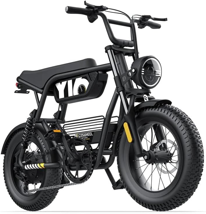 Electric Fat Tire Bike for Adults, Up to 4000W Peak Motor, 16"/20" Off-Road E-Bike, Dual Suspension, Hydraulic Brakes