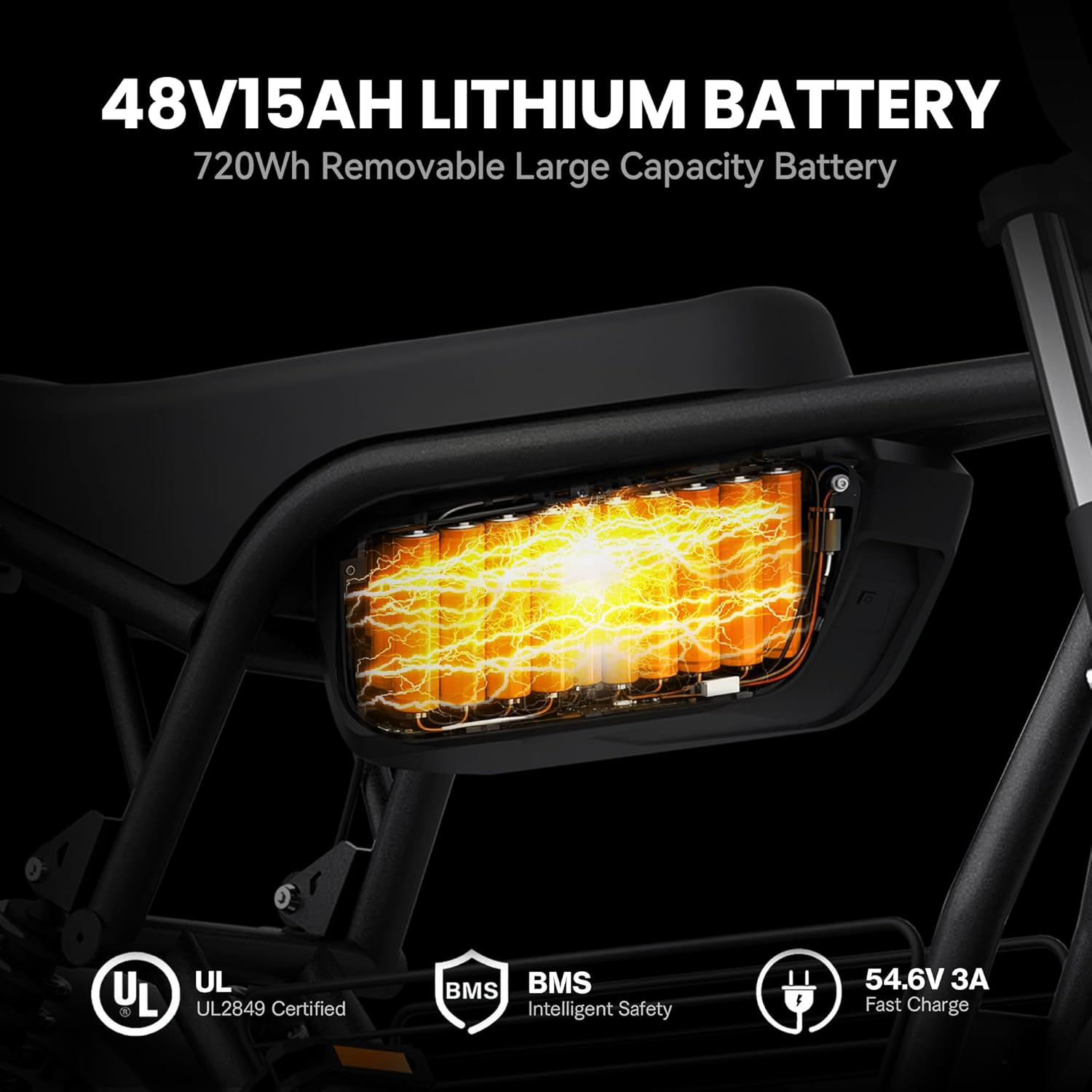 Electric Fat Tire Bike for Adults, Up to 4000W Peak Motor, 16"/20" Off-Road E-Bike, Dual Suspension, Hydraulic Brakes