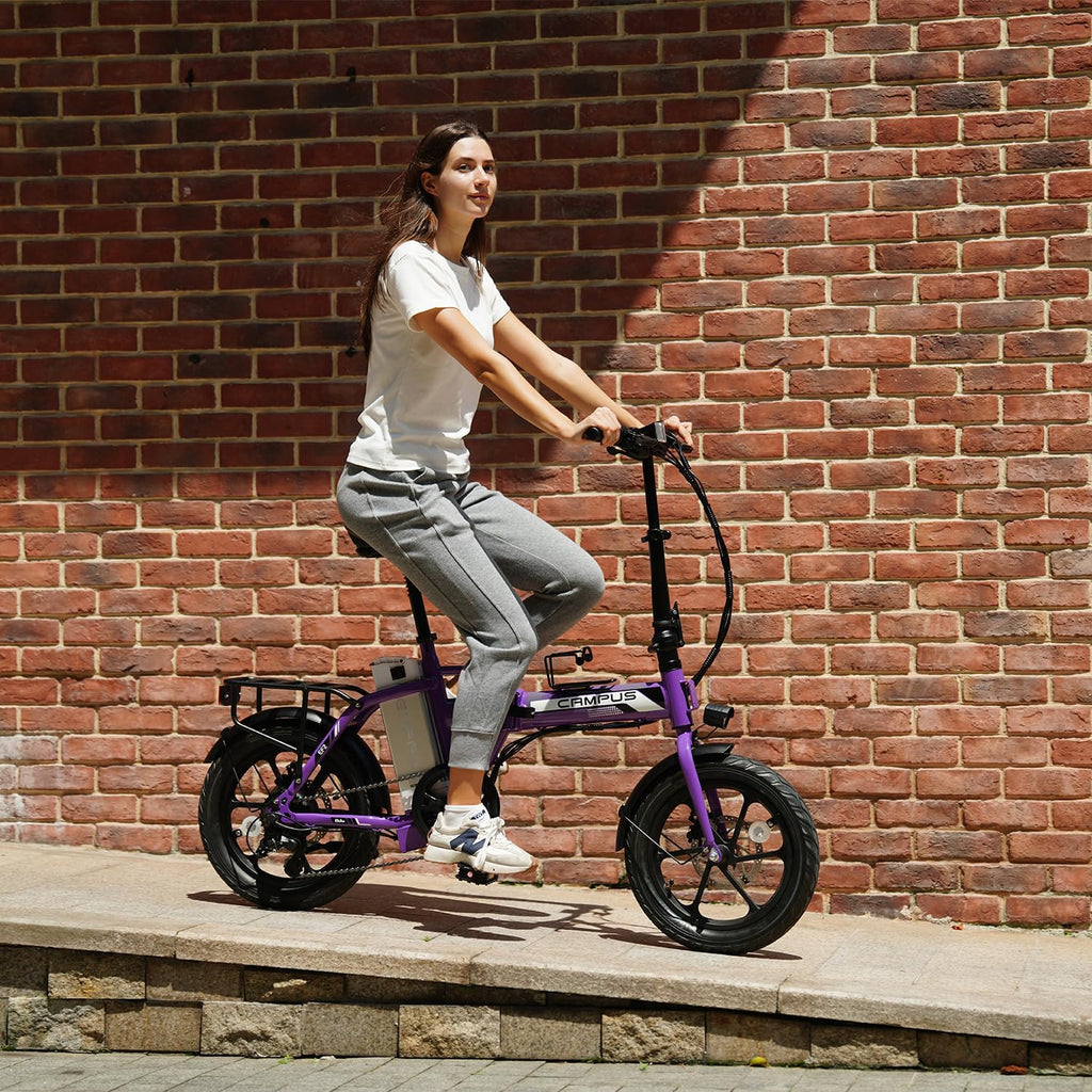 Lightweight Folding Electric Bike for Adults, All-Terrain Commuter E-Bike, 7-Speed Drivetrain, UL Certified