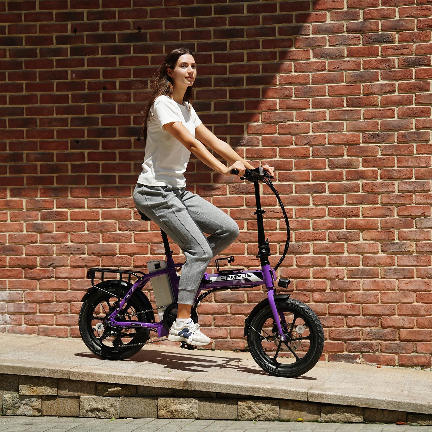 Lightweight Folding Electric Bike for Adults, All-Terrain Commuter E-Bike, 7-Speed Drivetrain, UL Certified