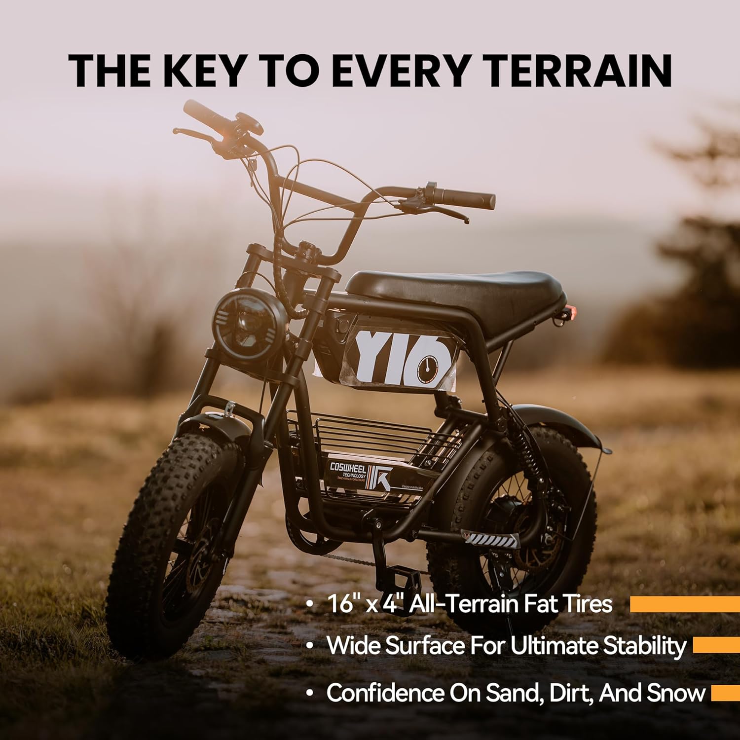 Electric Fat Tire Bike for Adults, Up to 4000W Peak Motor, 16"/20" Off-Road E-Bike, Dual Suspension, Hydraulic Brakes