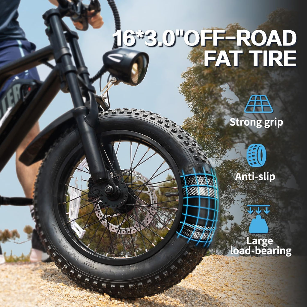 16-Inch Fat Tire Electric Bike for Adults, Compact All-Terrain E-Bike, Removable Power System, Urban & Outdoor Commuter Bicycle