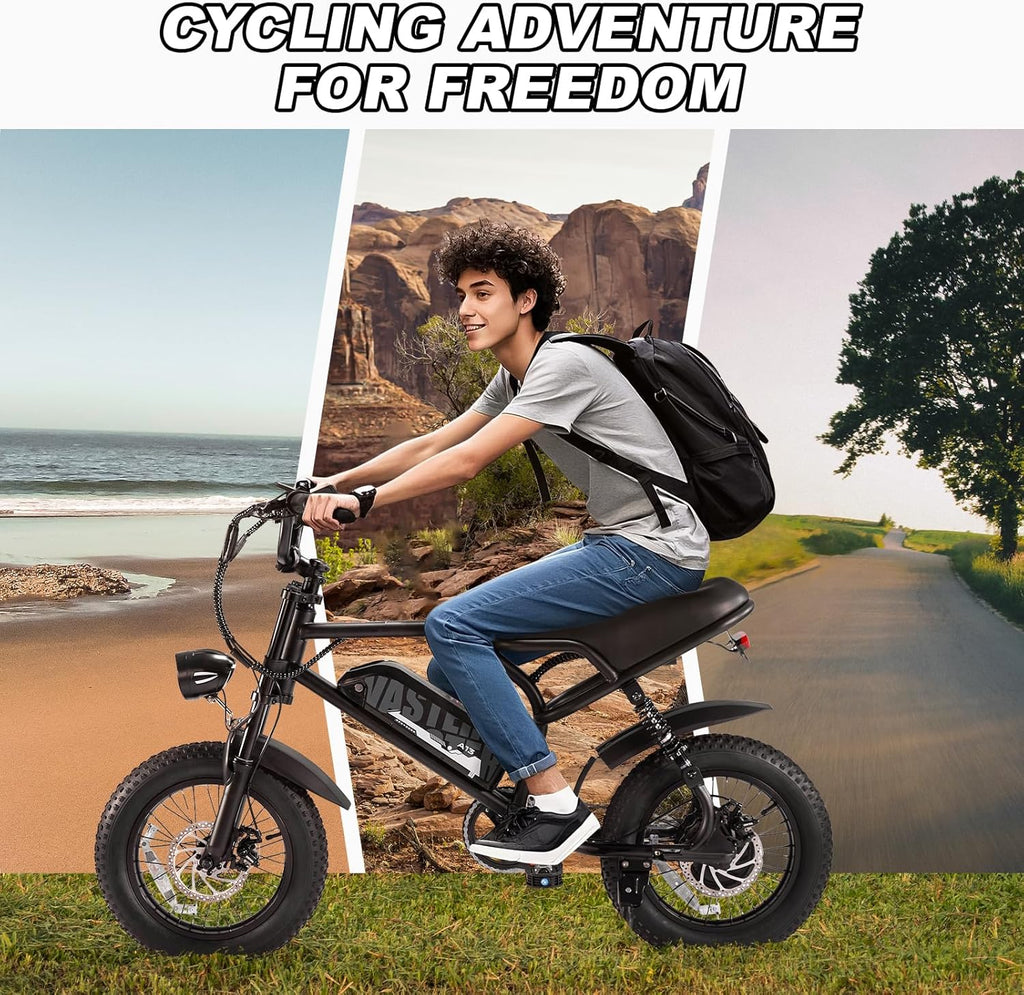 16-Inch Fat Tire Electric Bike for Adults, Compact All-Terrain E-Bike, Removable Power System, Urban & Outdoor Commuter Bicycle